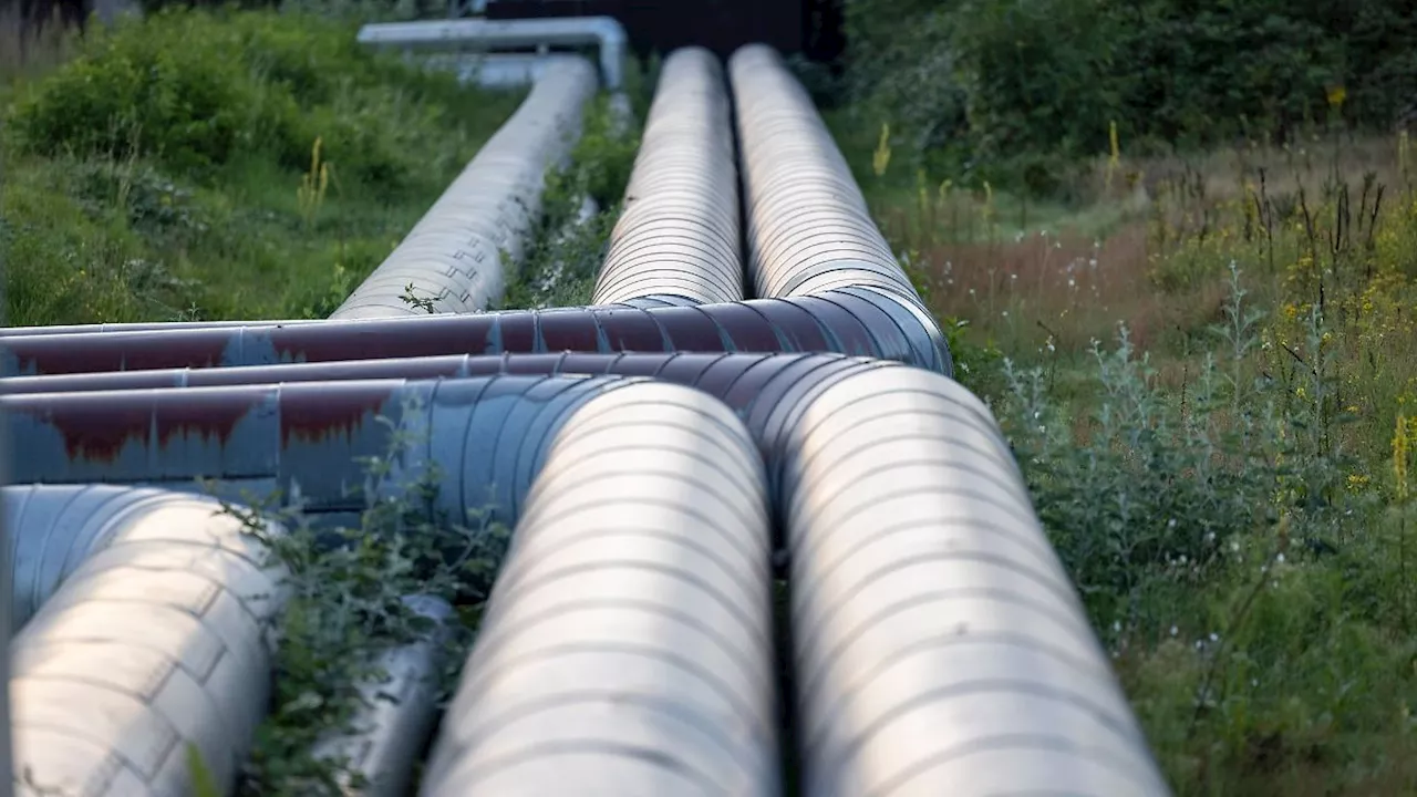 Nordrhein-Westfalen: Heizen mit Rheinwasser: Großwärmepumpe in Köln geplant