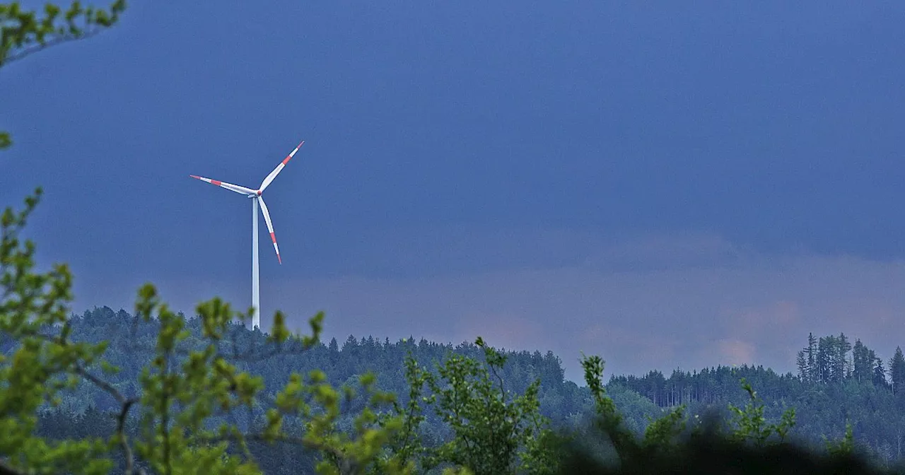 „Katastrophe für OWL“: Naturschützer kritisieren unkontrollierten Windkraft-Ausbau