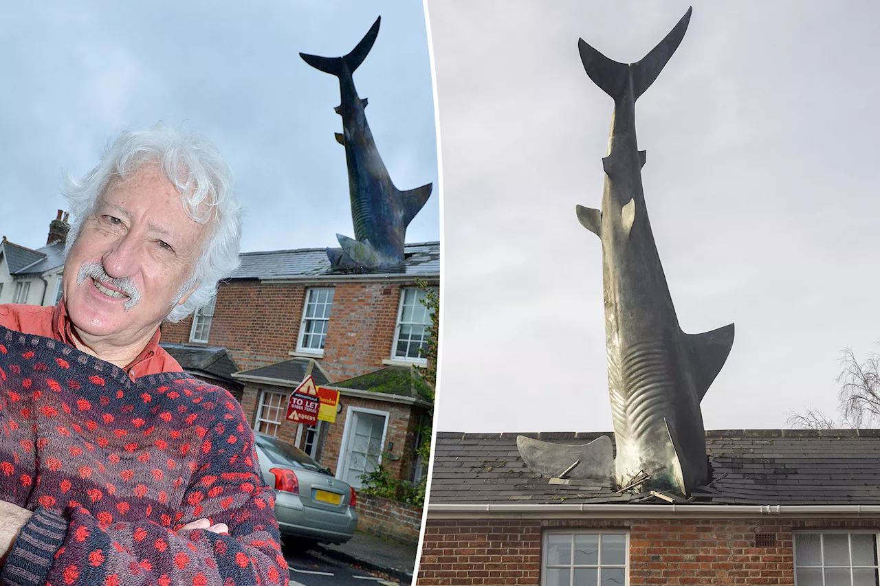 Airbnb with huge shark plunging into roof faces closure after official backlash: 'Come while you can'