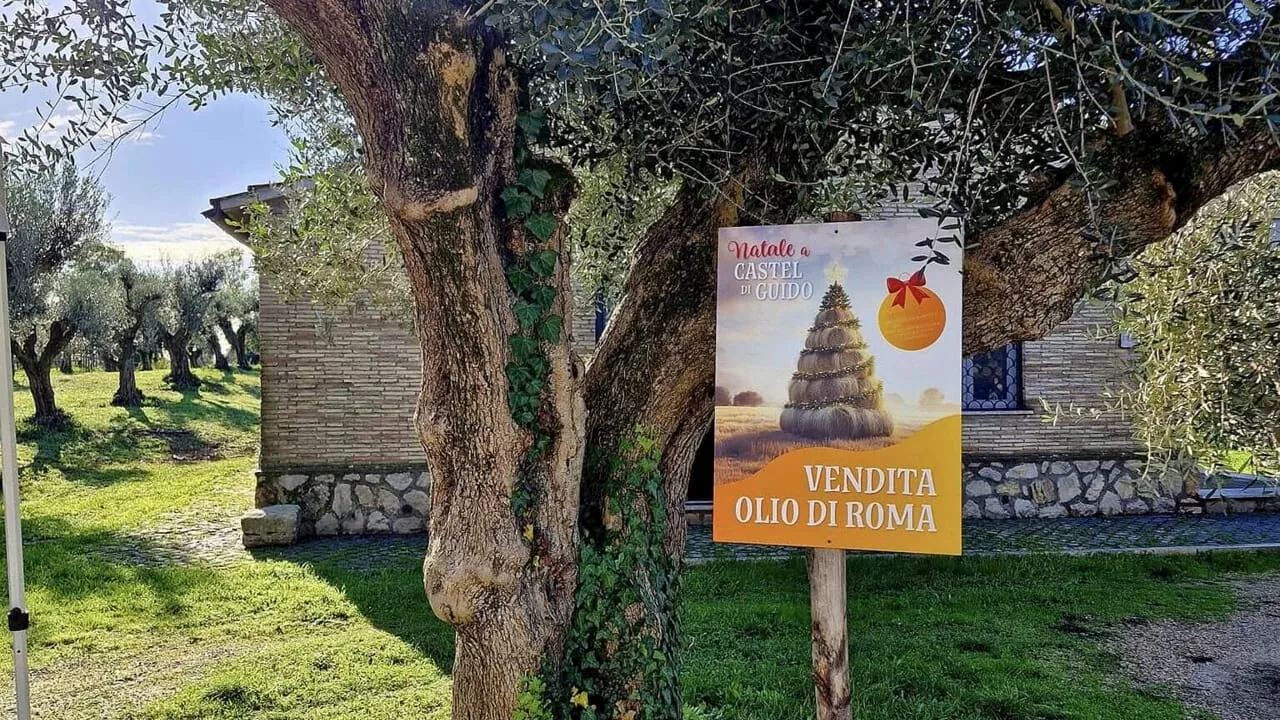 La prima festa dell'Olio di Roma alla tenuta agricola di Castel di Guido