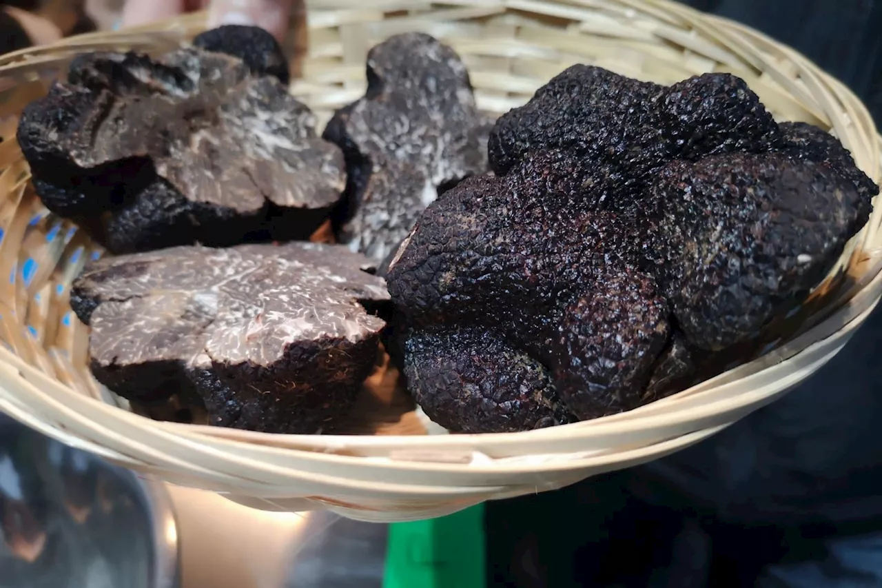 Noël : attention aux arnaques sur les produits 'à base d'arômes de truffes'