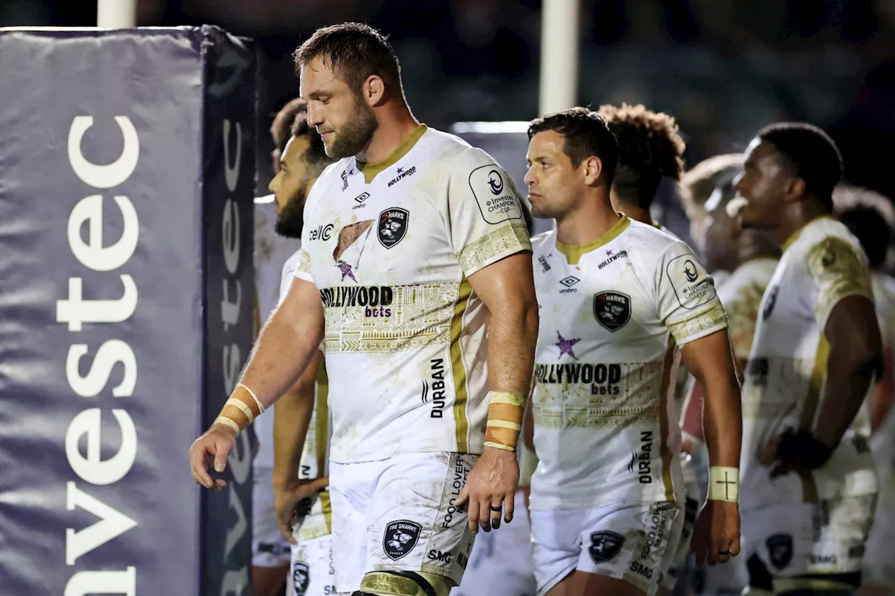 SA's Champions Cup woes a lesson in Risk vs Reward