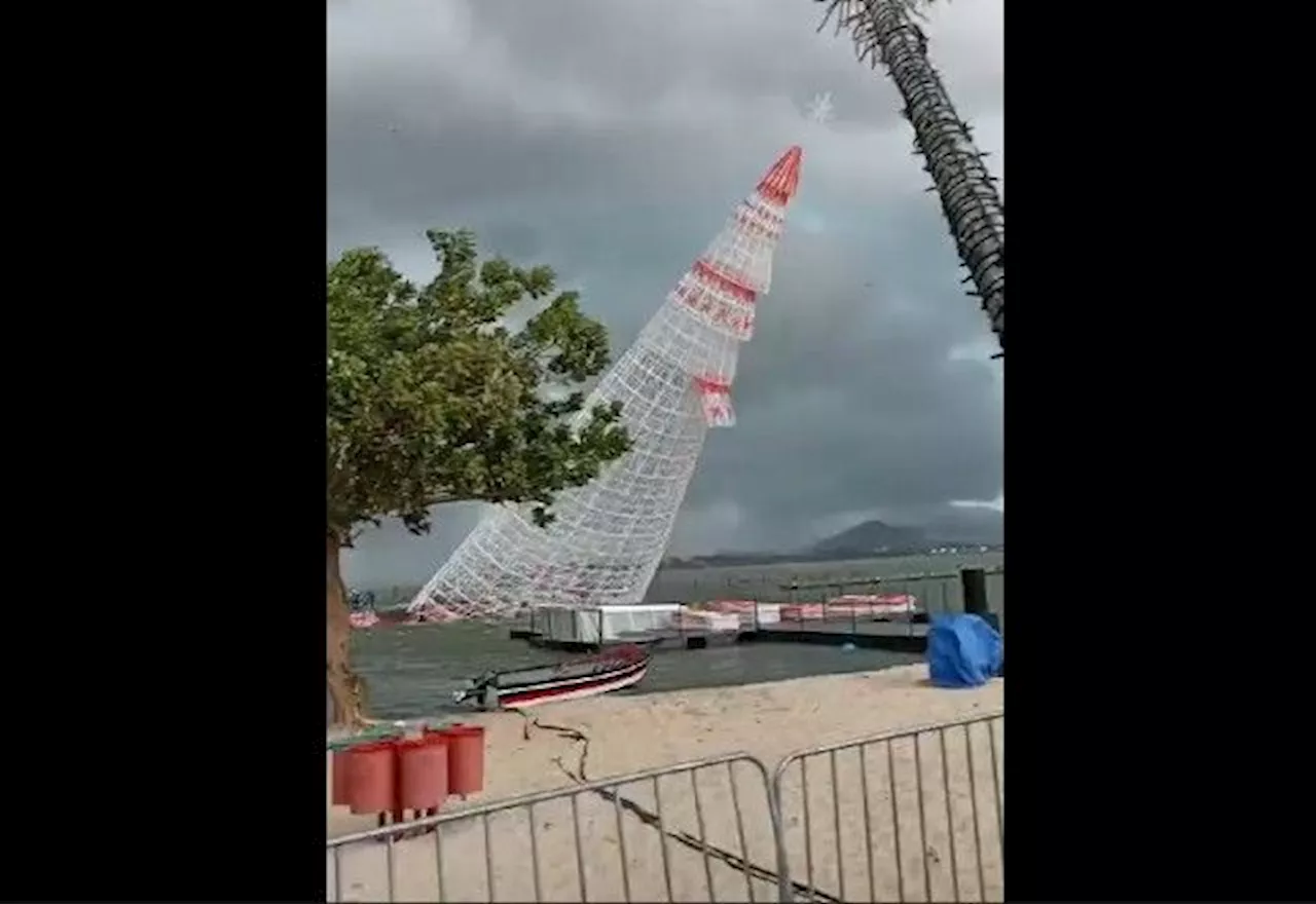 Vídeo: Árvore de Natal cai durante ventania e mata trabalhador em Maricá (RJ)