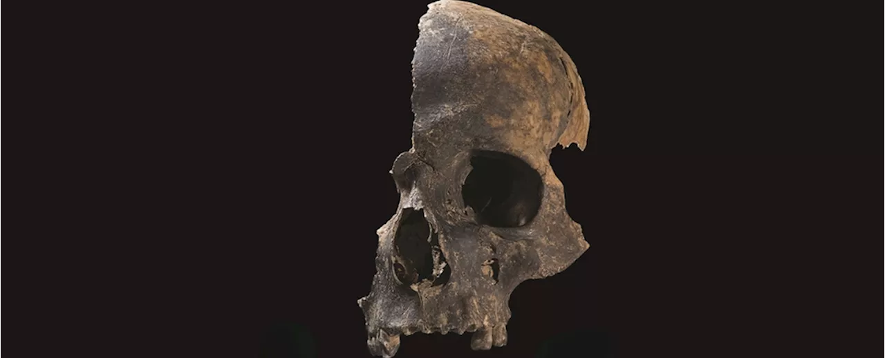 Bronze Age British Ate Their Enemies According to Gruesome Discovery