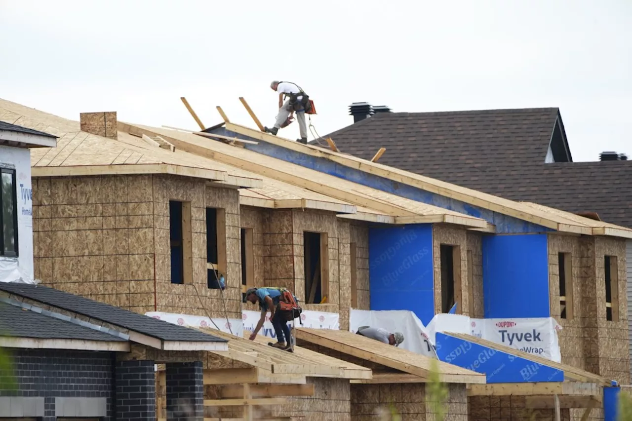 Housing starts rise from last month, up eight per cent in November: CMHC