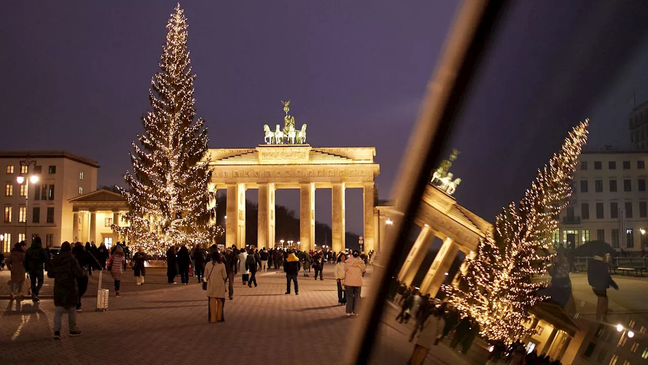 Feiertage: Unter einem Tannenbaum - an Heiligabend nicht allein sein