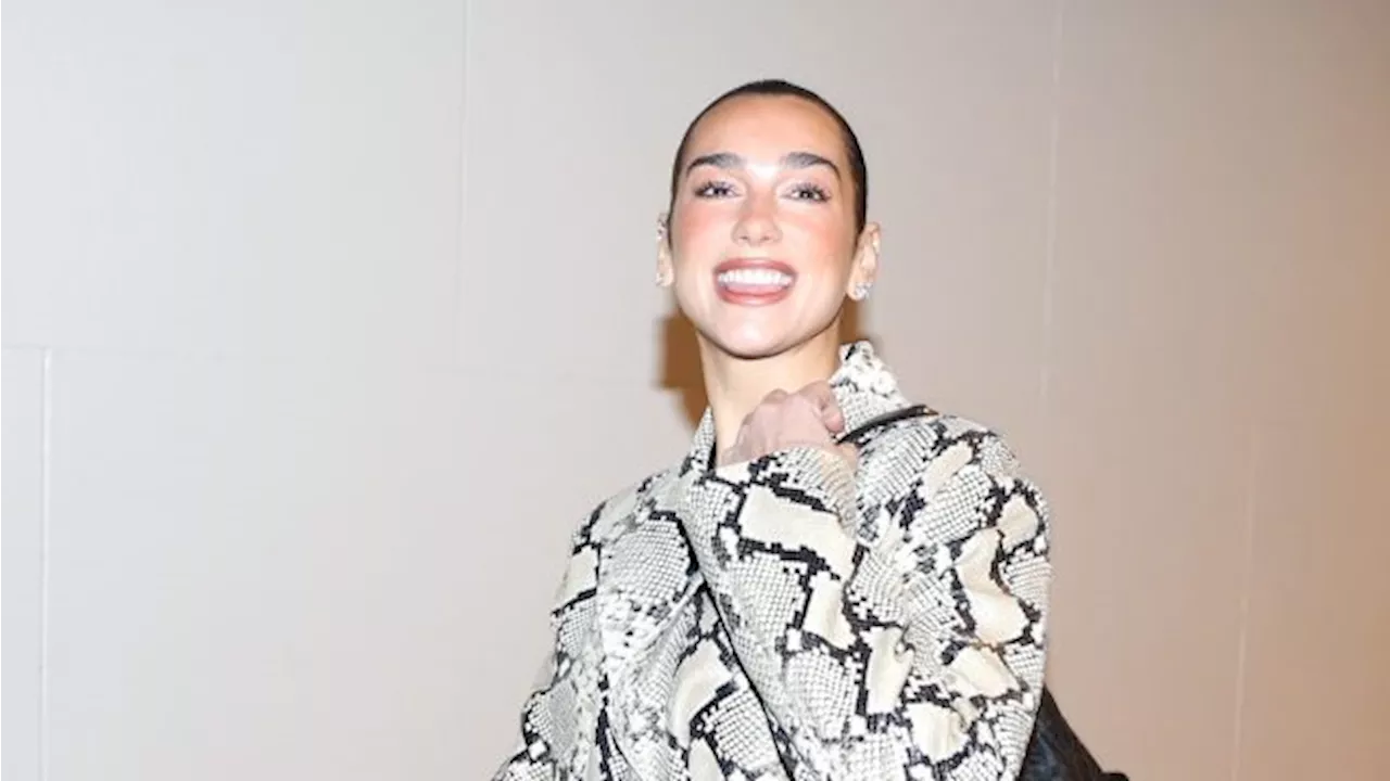 Dua Lipa's Snake Skin Trench Is Perfect—7 Leather Trenches In My Cart