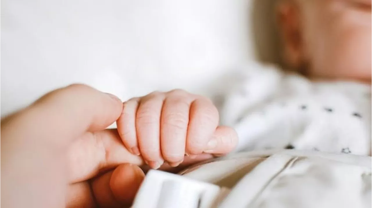 Bayi Pasutri di Cempaka Putih Diduga Tertukar, Terbongkar Saat Makam Bayi Digali, Ukuran Beda dengan Catatan Medis