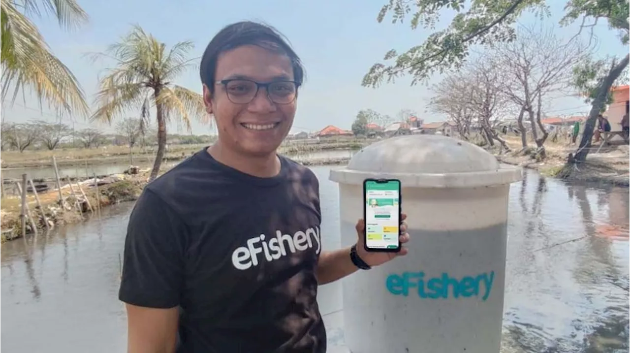 Berawal Investor Kakap Curiga, Bos eFishery Gibran Huzaifah Diduga Gelapkan Dana Perusahaan