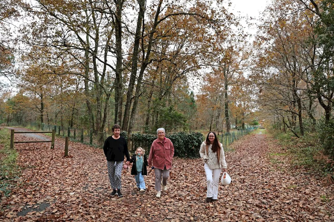 Landes : un collectif s’oppose à la construction de plus de 70 logements à Sanguinet