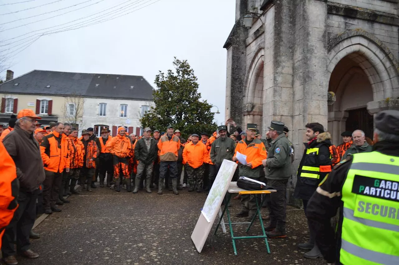 Près de 80 chasseurs mobilisés pour une vaste opération de régulation du gros gibier