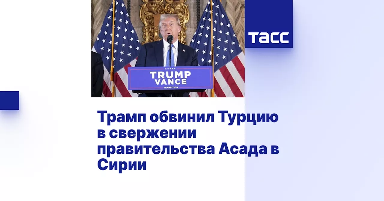 Трамп обвинил Турцию в свержении правительства Асада в Сирии