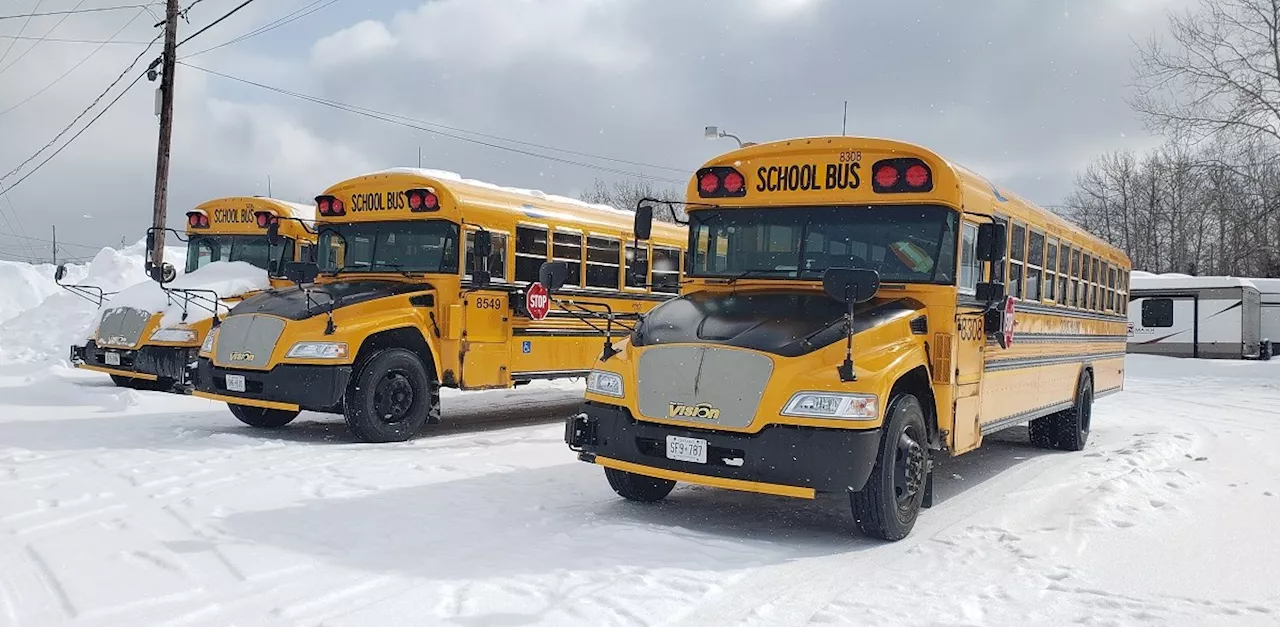 'Alarming' drop in school attendance since bus route cuts: board