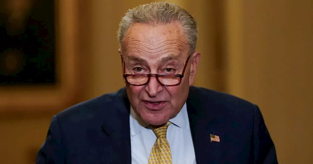 Top Dem Chuck Schumer Pitches a New Solution to Mystery East Coast Drones