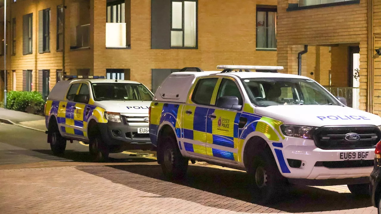 Young boy found dead and woman arrested for ‘murder’ after cops swoop on home in Essex...