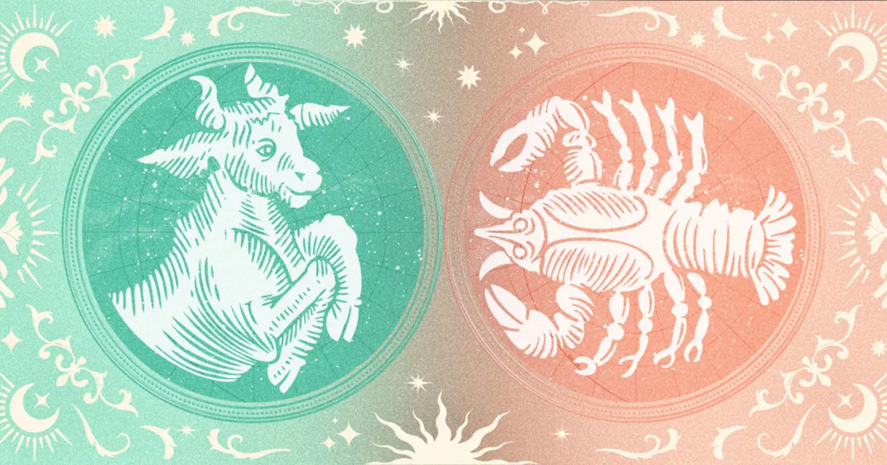 Taurus And Cancer Compatibility: How The Zodiac Signs Connect In Love