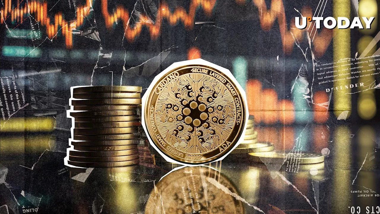 $3.2 Billion Flood Crypto Market Last Week, Cardano (ADA) Gets Its Share Too