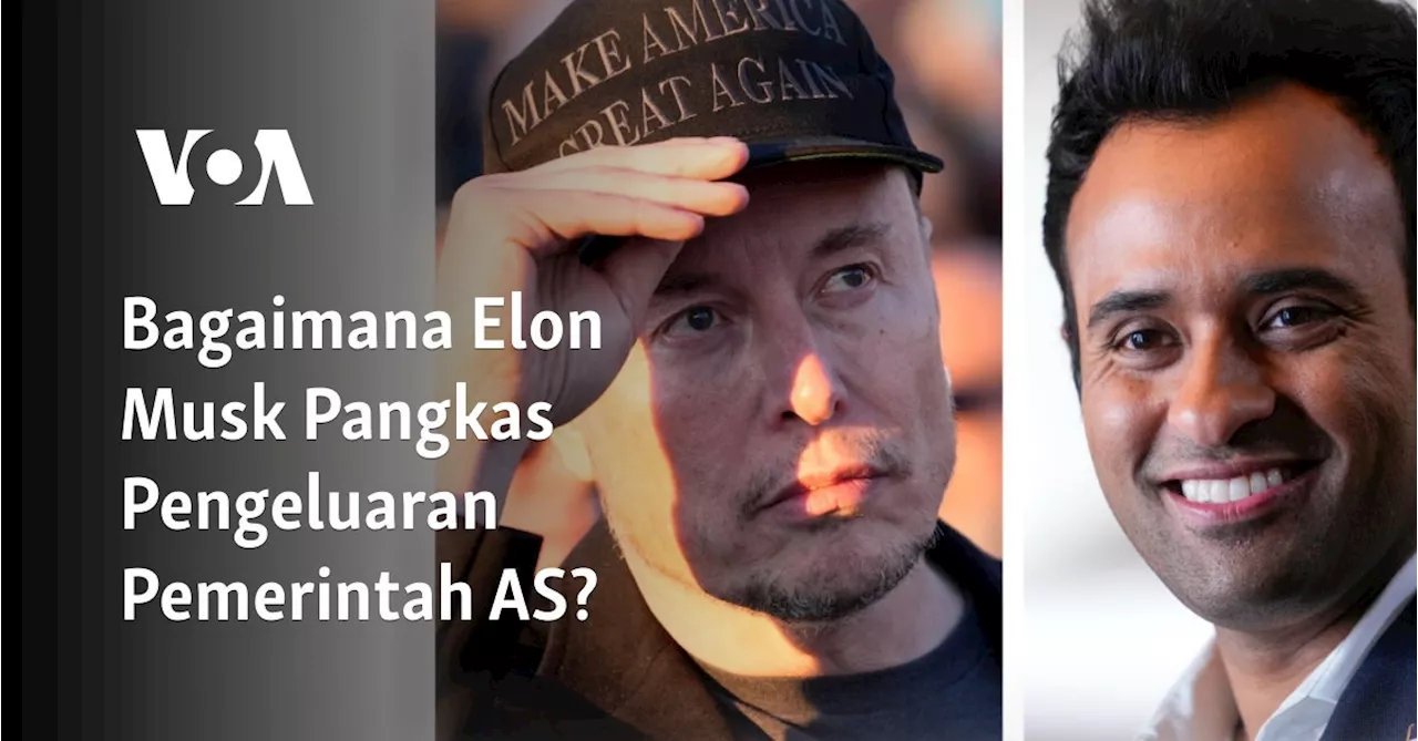 Bagaimana Elon Musk Pangkas Pengeluaran Pemerintah Amerika?