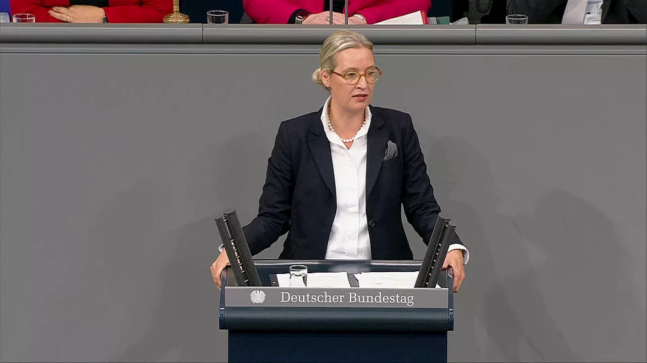 Aussprache - Alice Weidel (AfD)