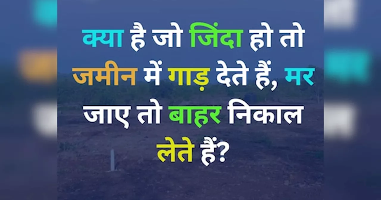 GK Quiz: वो कौन है, जिसे जिंदा रहने पर जमीन में गाड़ दिया जाता है और मरने पर बाहर निकालना पड़ता है?