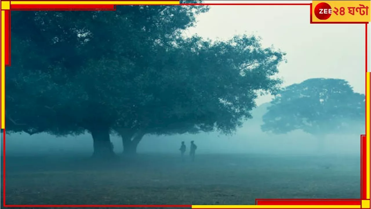 Weather Update: সপ্তাহের শেষে বৃষ্টির পূর্বাভাস! জাঁকিয়ে শীতের স্পেল শুরুর আগেই কি শেষ?