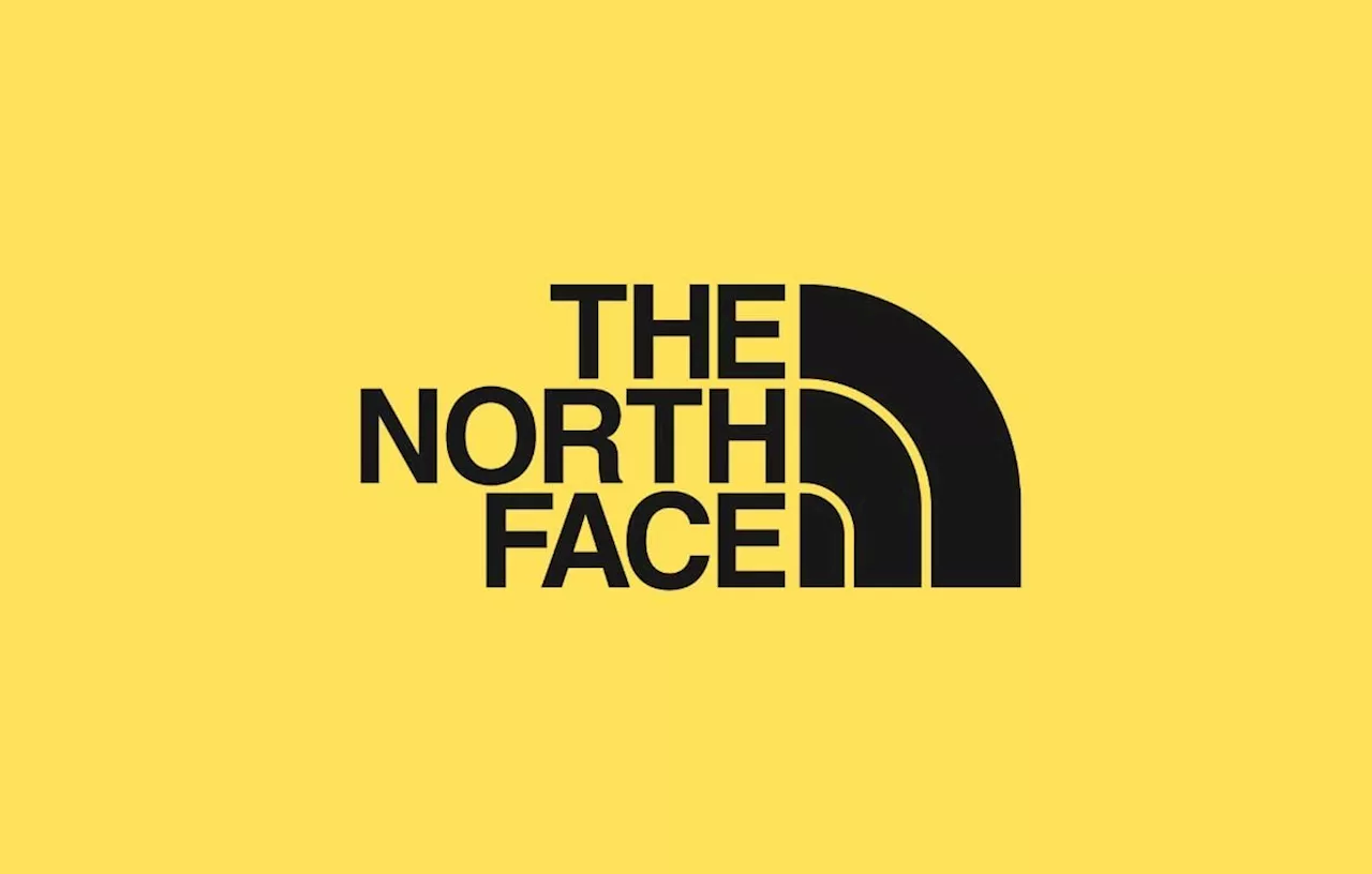 Sweat The North Face à Prix Réduit sur Amazon