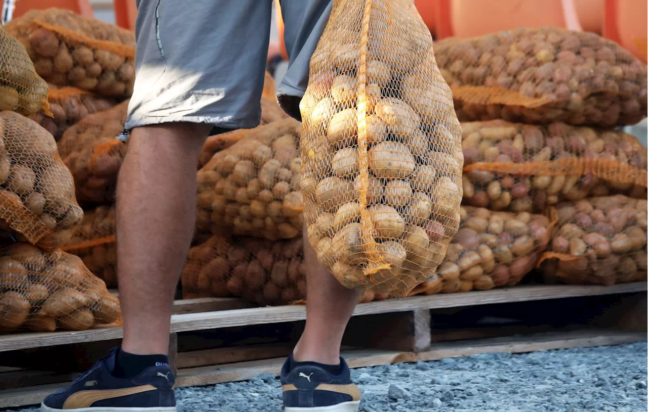 Arnaques aux Légumes : Attention aux Vendeurs Intimidants