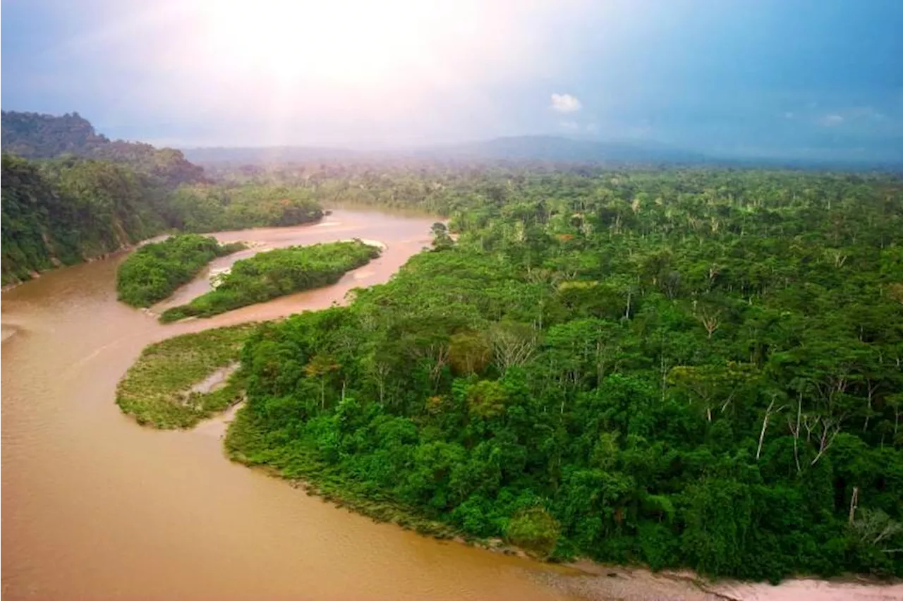 Amazon to benefit in Ecuador's second debt-for-nature deal