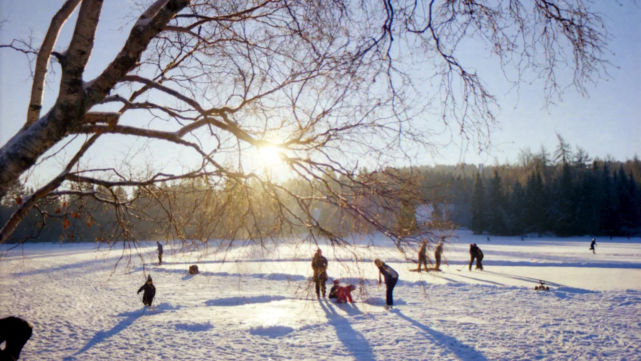 Winter Solstice Marks Shortest Day of the Year in Northern Hemisphere