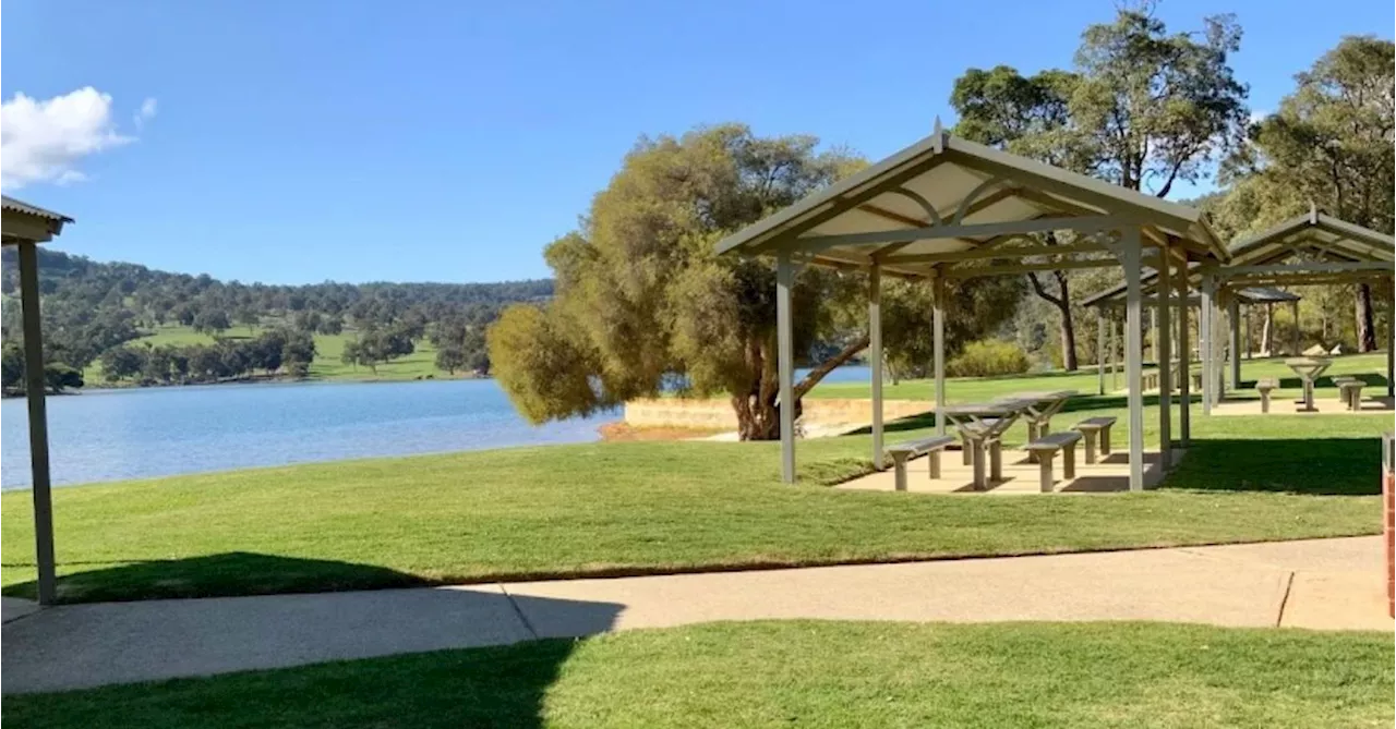 No 'Brain-Eating Amoeba' Found at Drakesbrook Weir