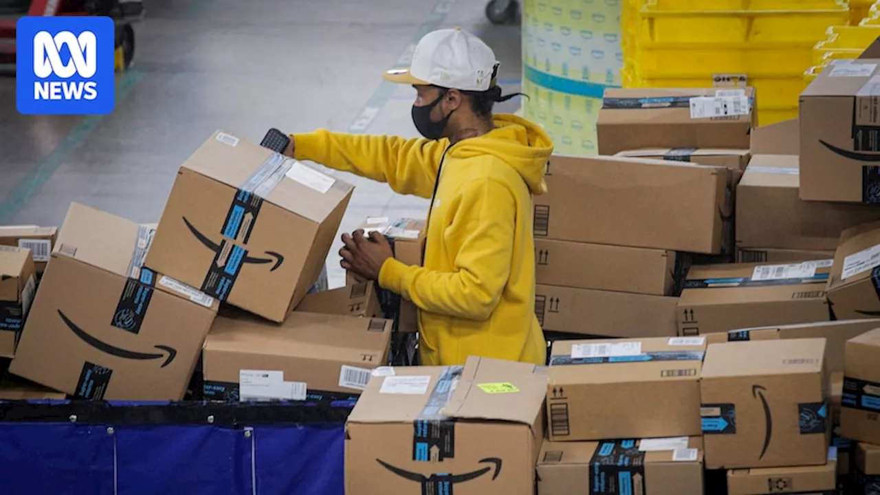 Warehouse workers' 'blood, sweat and tears' fuelling Amazon's speed 'obsession', investigation finds