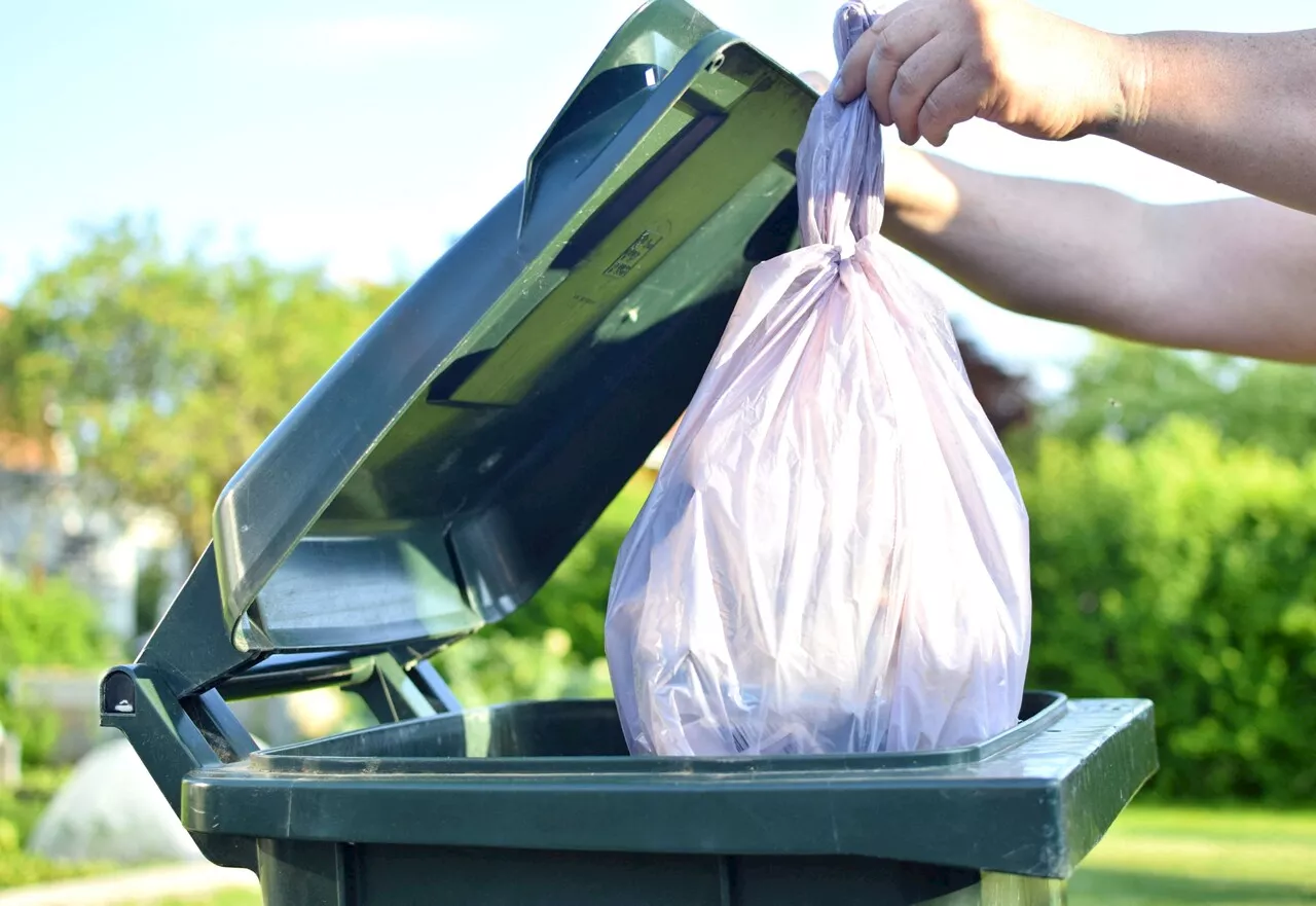 Collecte et valorisation des déchets : l'agglomération du Grand Montauban, bonne ou mauvaise élève ?