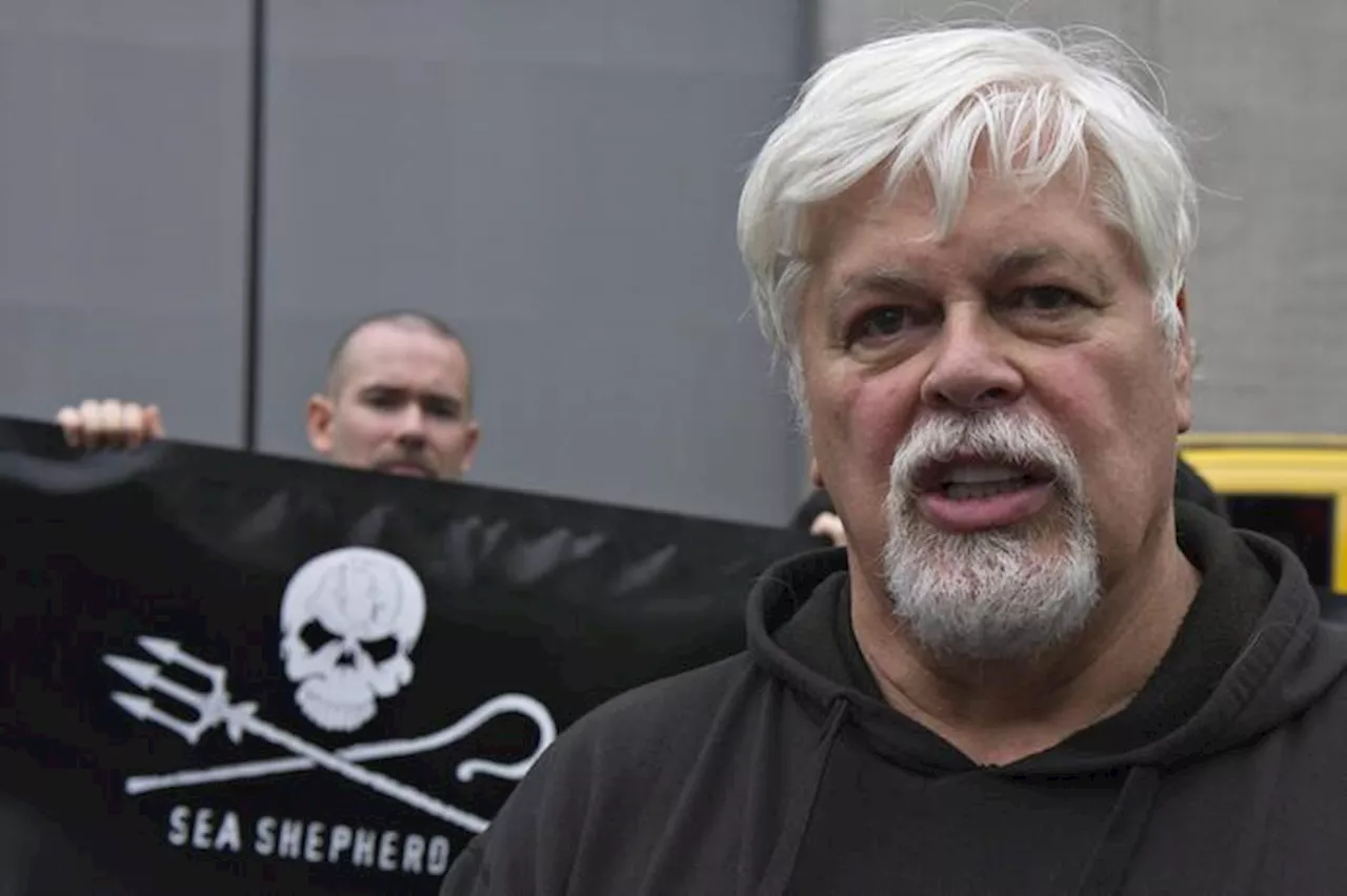 Paul Watson Rilasciato dalla Groenlandia, Danimarca Non Lo Estrada in Giappone