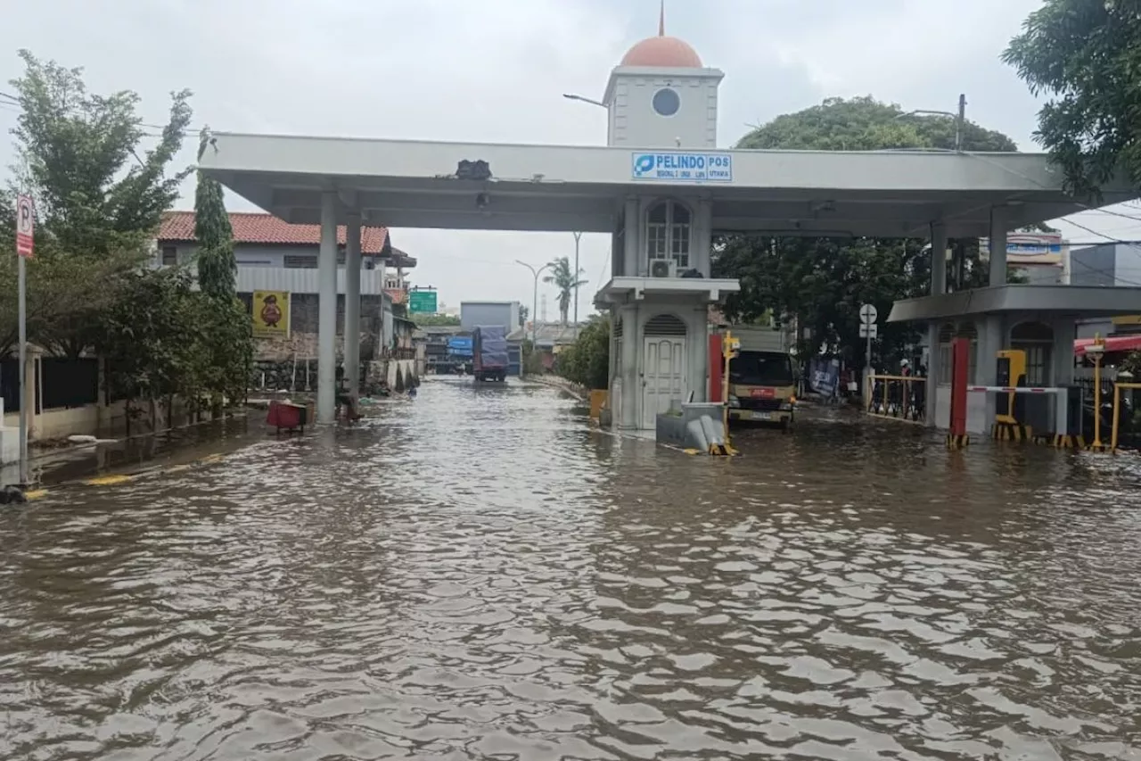 Banjir Rob Menggenangi Jalan Pelabuhan Sunda Kelapa Jakarta Utara