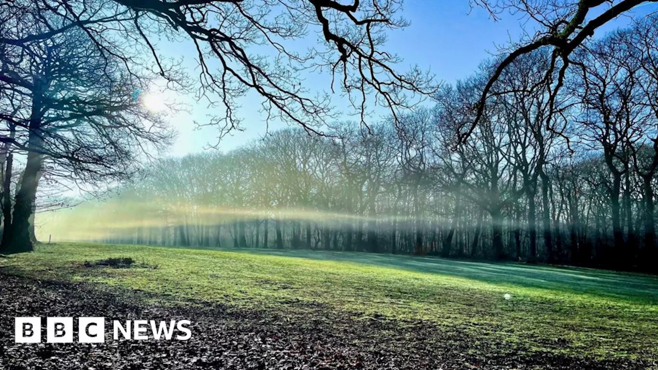 Birds of Prey to Combat Golf Course Damage