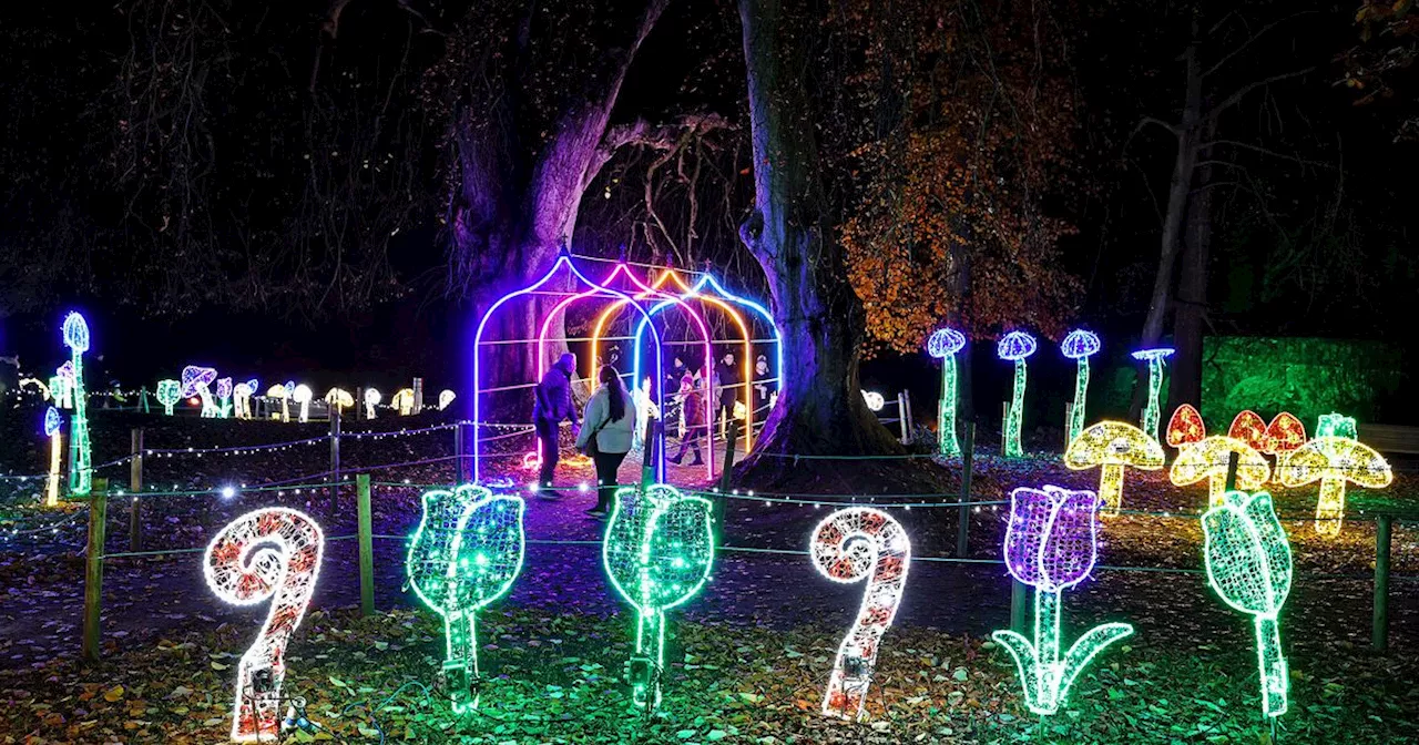 Prices set to increase for 2025 Enchanted Winter Garden event