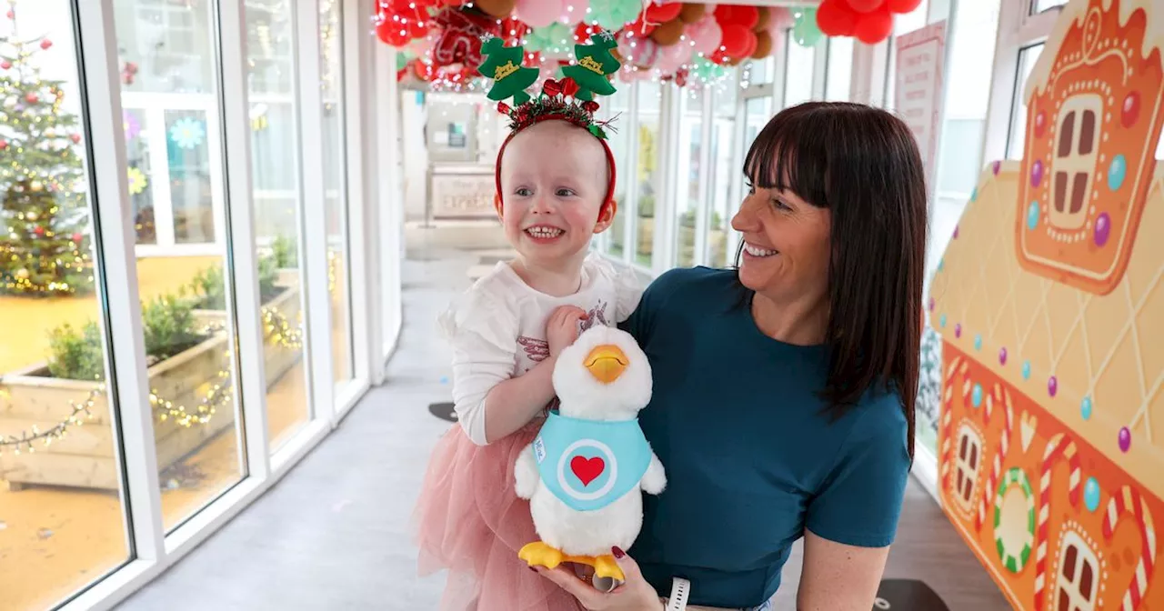 The special robotic duck teddies helping NI children facing cancer treatment