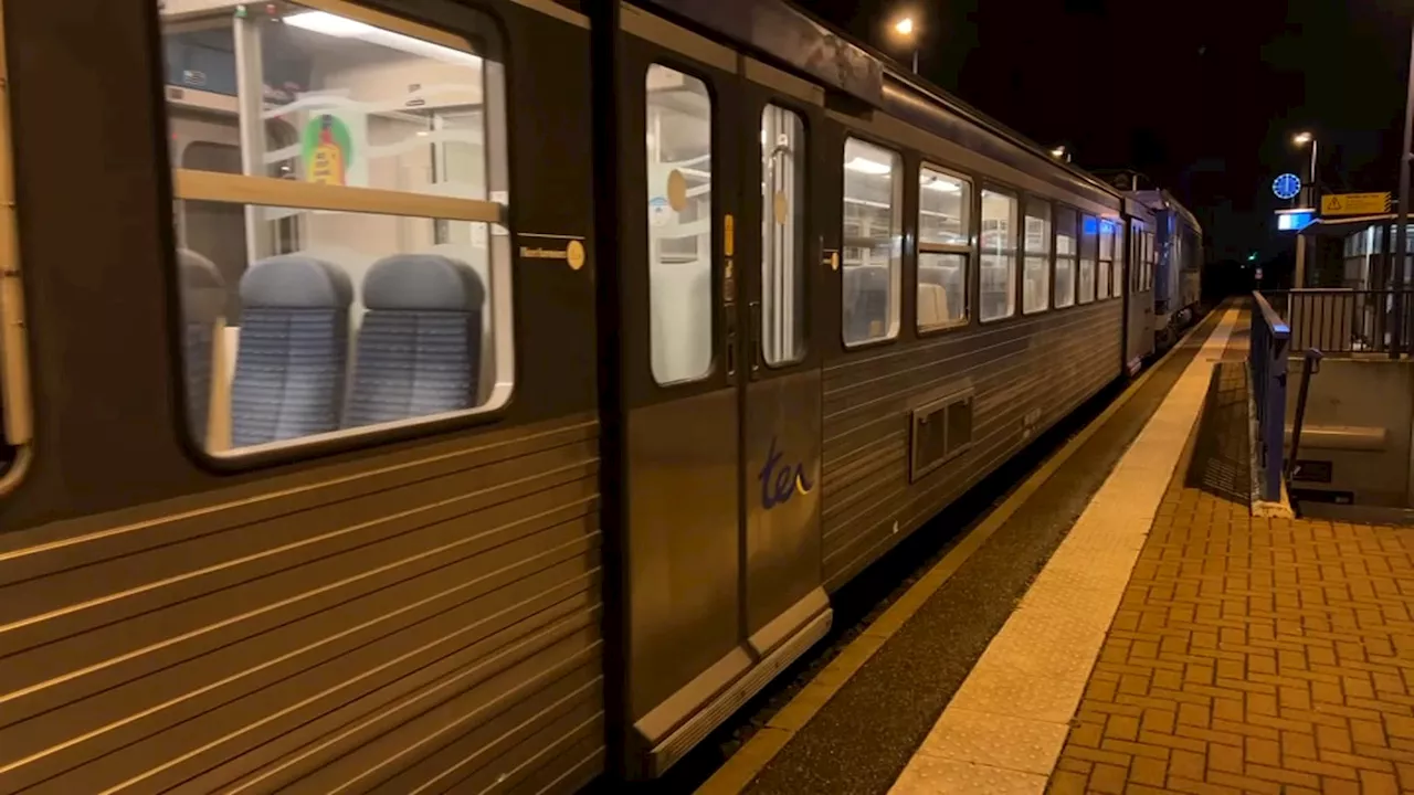 RER métropolitain de Strasbourg: deux ans après son lancement, les collectivités satisfaites des progrès