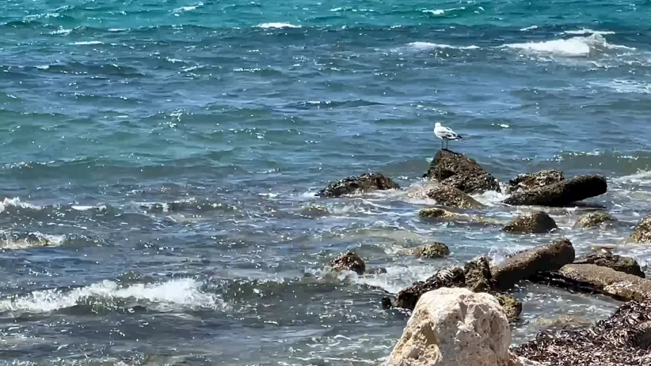 Tremblements de Terre sur la Côte d'Azur: Retour d'une Menace