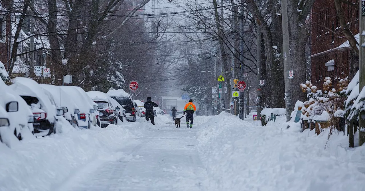 Toronto Braces for Winter Weather: Snow Expected Before Christmas