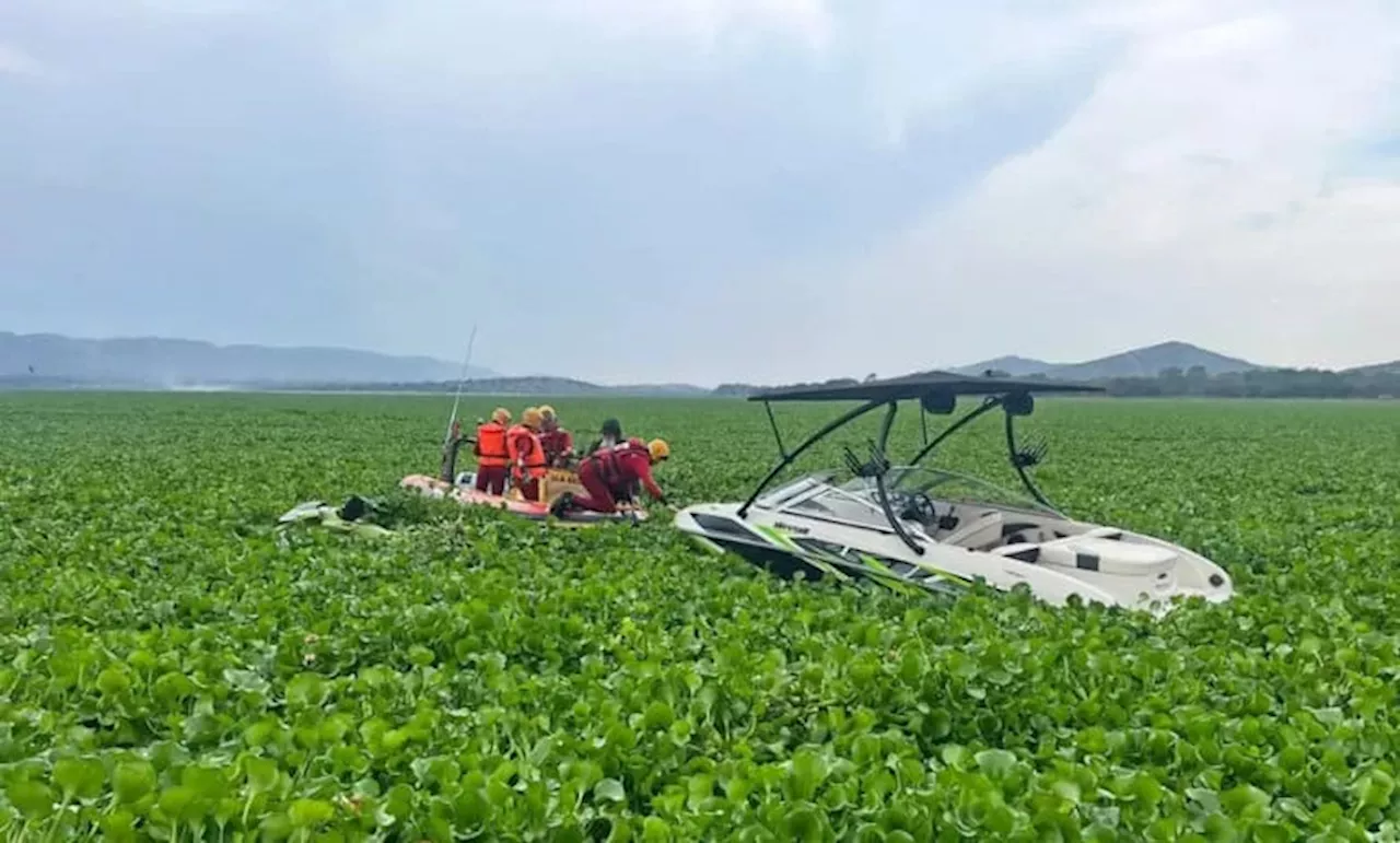 Hyacinth Warning Issued for Hartbeespoort Dam