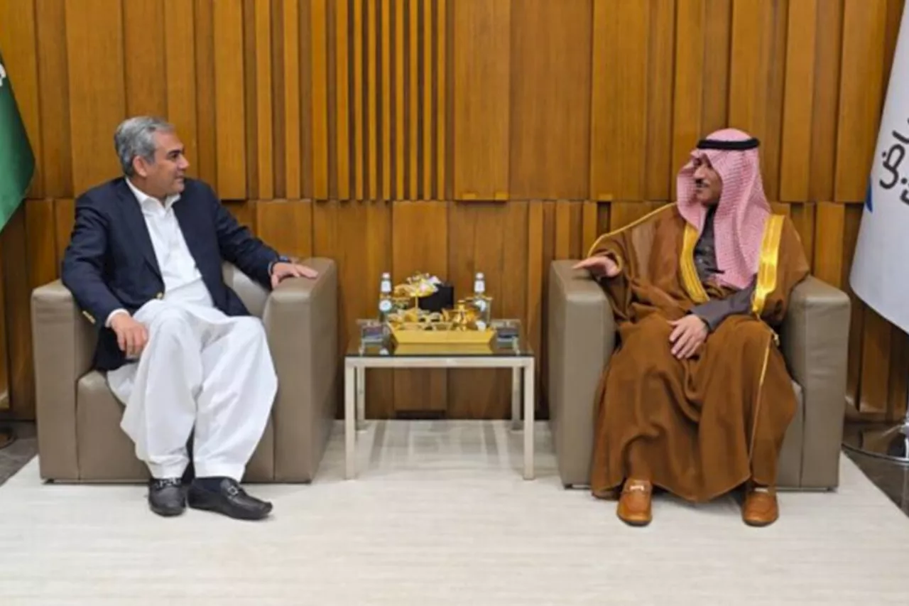 Pakistan, Saudi Arabia pledge to address shared security concerns