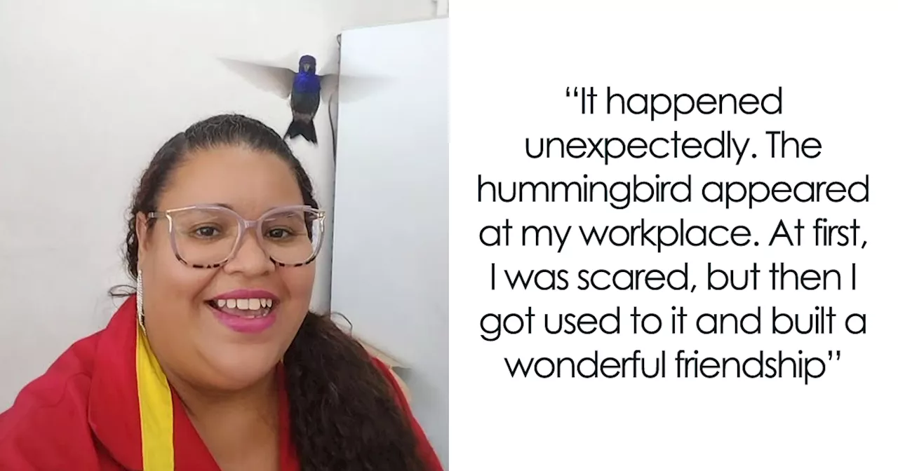 Brazilian Woman Develops Unlikely Friendship with Hummingbird