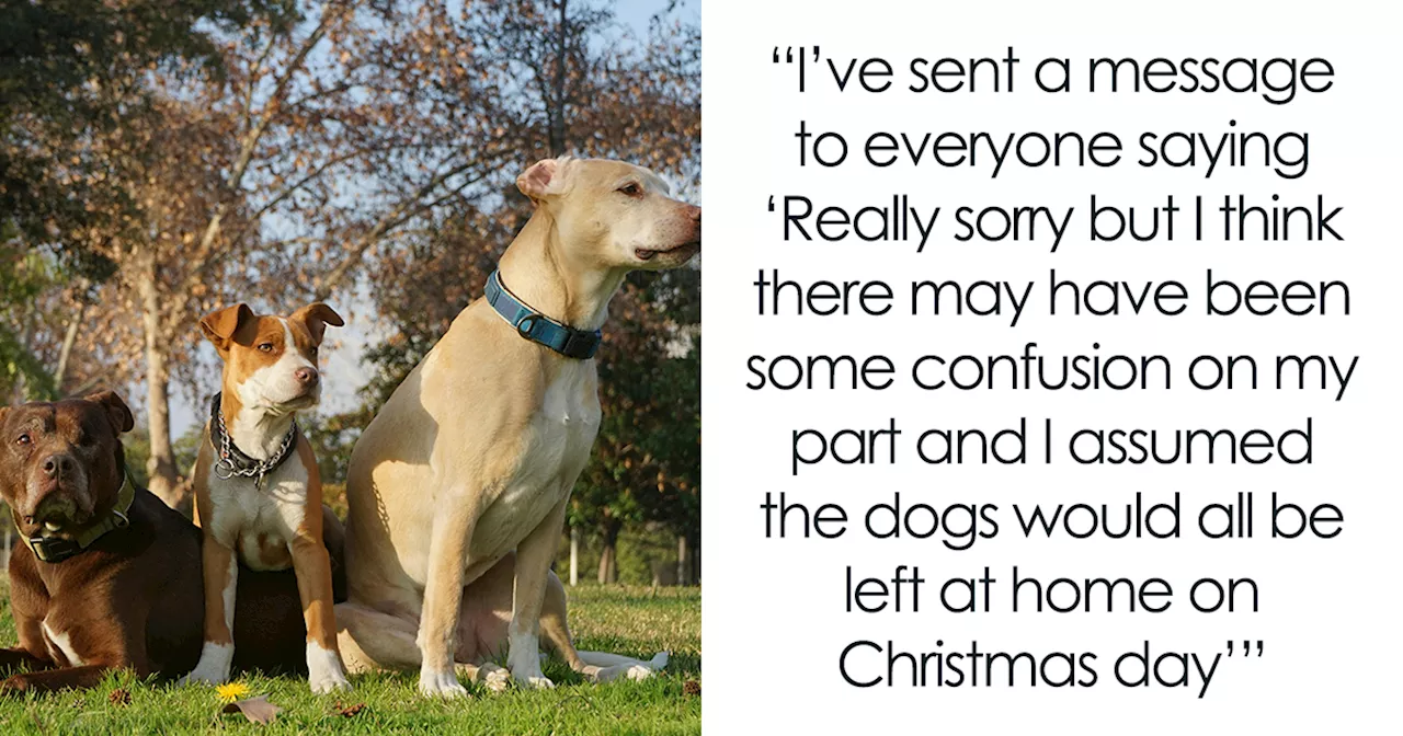 Christmas Chaos: Dog Owners Spark Family Feud Over Pet-Free Holiday