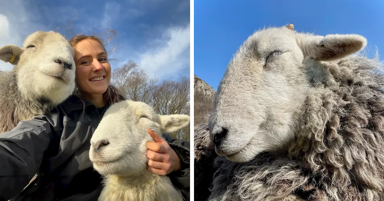 Woman Bonds with Sheep to Change Perceptions of Farm Animals