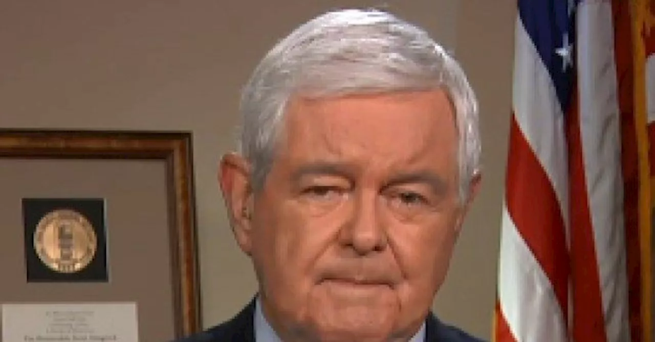 Gingrich: Tax Cut, Deregulation by July 4 Key to GOP Keeping the House in 2026