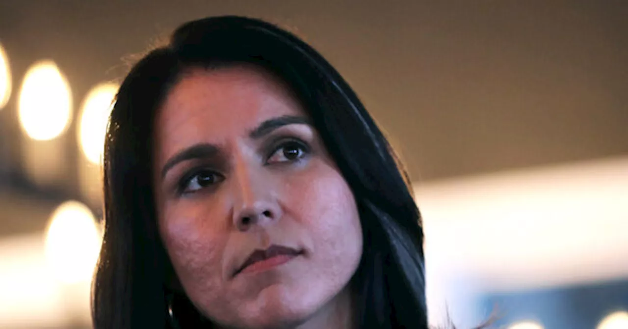 Profile Admits No Evidence of Tulsi Gabbard Being a 'Russian Asset'