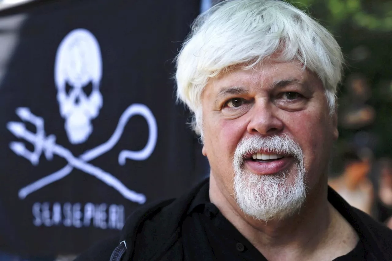 Anti-Whaling Activist Paul Watson Freed From Prison in Greenland