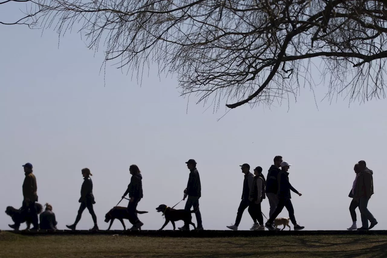 Canada’s quarterly population growth hits slowest pace since early 2022