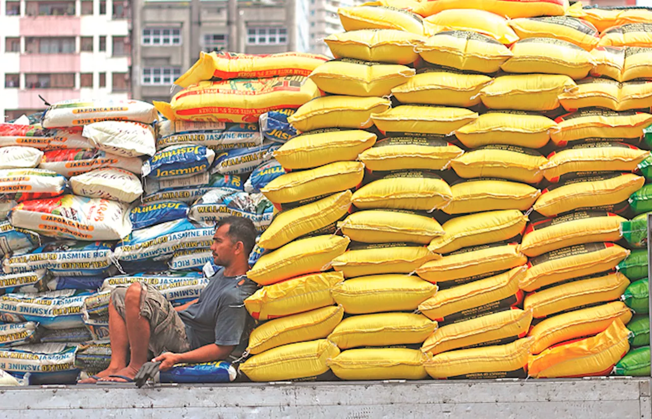 Philippines Set to Become Top Rice Importer Again with Record-High Imports